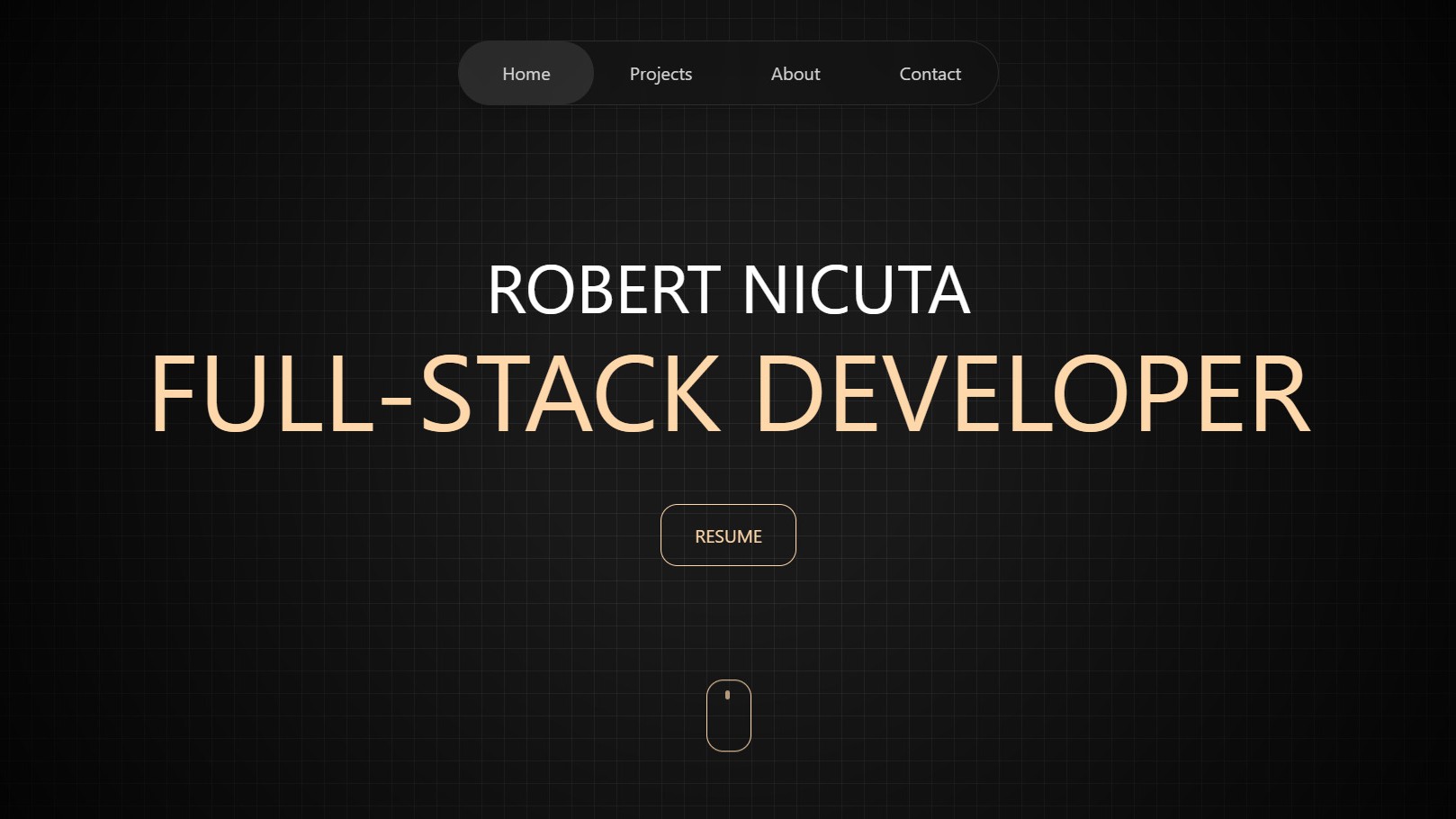 Robert Nicuta Portafolio